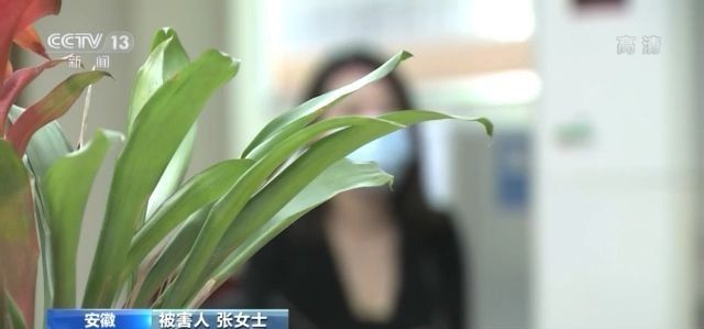 “币之家”：一场精心策划的虚拟币骗局