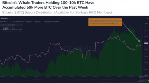 随着 BTC 供应转向强手，比特币鲸鱼继续大量增持