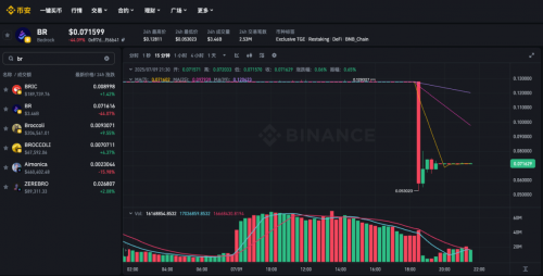 币安 Alpha 明星币 BR 瞬间腰斩，重演 ZKJ 走势 Alpha 机制再遭质疑